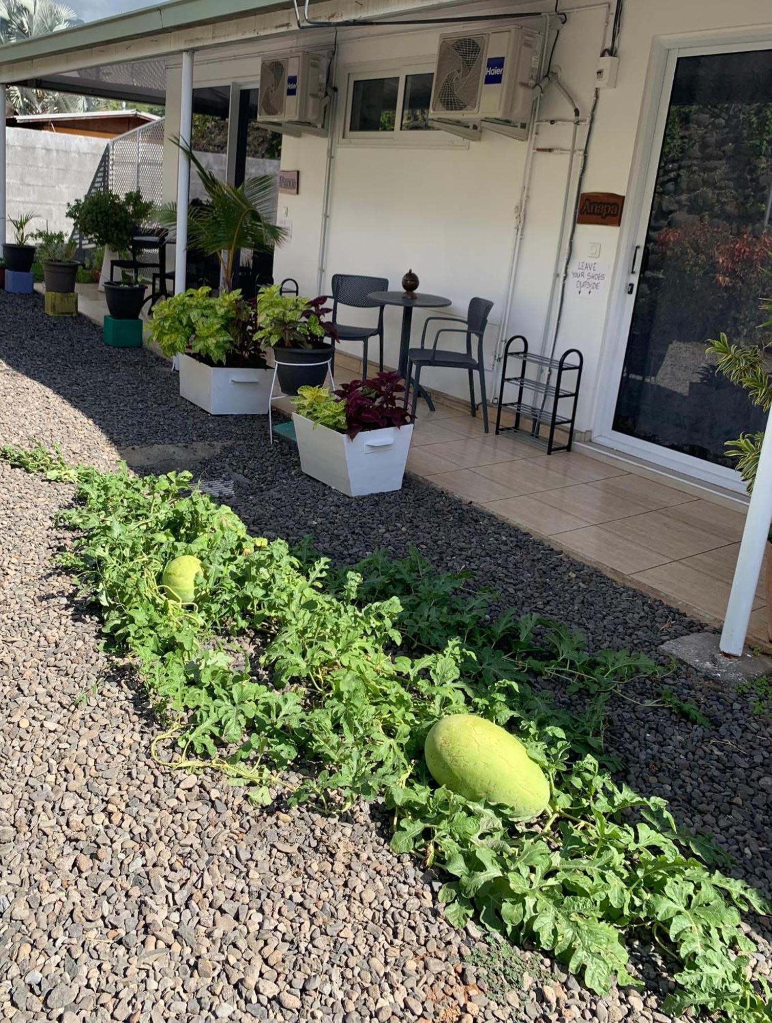 A Tomo Mai Homestay, Close To Airport, Private Bathroom Free Parking And Wifi With High Connection And Breakfast Optional Faaa Exterior foto